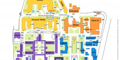 Raymond haritası-Poincaré Hastanesi